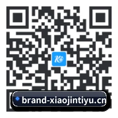 iPhone 与 iPad 专享端 二维码